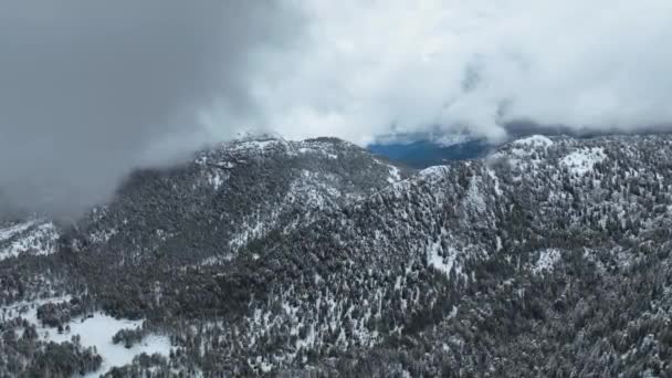 Aerial Epischen Blick Auf Die Winterlandschaft Winterwald Mit Schnee Bedeckt — Stockvideo