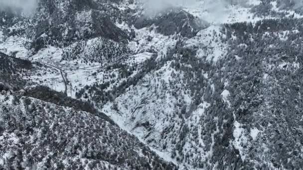 Landschaftlich Verschneiter Wald Kalten Wintertagen Drohne Fliegt Durch Schweren Schneesturm — Stockvideo