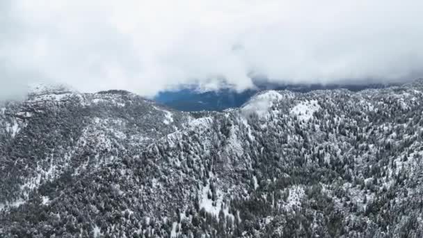 Drohne Fliegt Durch Schweren Schneesturm Winterlicher Berglandschaft — Stockvideo