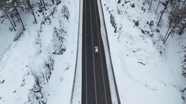 Bulutlu Bir Günde Karla Kaplı Ağaçların Üzerinde Uçmak Ikonik Bir — Stok video