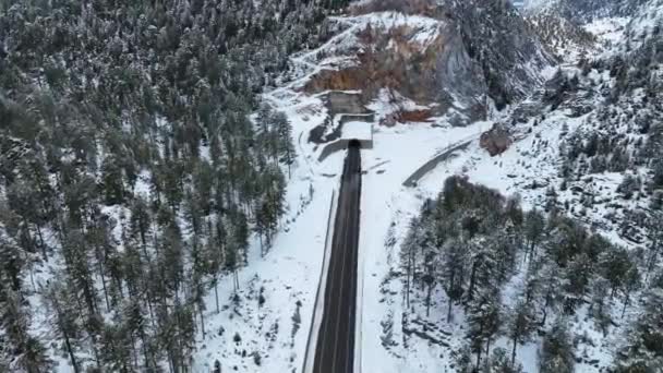 Bosque Nevado Escénico Frío Día Invierno Sobrecarga Drone Volando Través — Vídeos de Stock