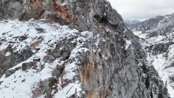 Стволы Большие Снежинки Воздушный Эпический Вид Зимнего Ландшафта Зимний Лес — стоковое видео