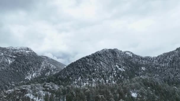 Nieve Aérea Cinematográfica Sobre Carretera Densos Pinos Cubiertos Nieve — Vídeos de Stock