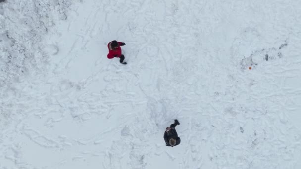Invierno Blanco Nevado Épico Bosque Cubierto Nieve Camino Través Del — Vídeos de Stock