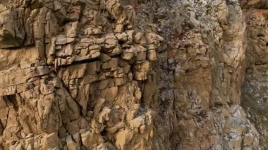 Kum nehri kıyıları ve yeşil ormanlık üzerinde uçuyor. Doğada gün doğumu, doğal manzaralı güzel bir yerde..