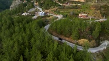 Dağ yolunda araba sürüyorum. Yolculuk. Dağ Ormanı Göl manzarası Çam Ormanı 'ndan geçen araba