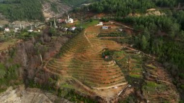Deniz kıyısındaki çiftlik çiftlikleri. Büyük hasat havası manzarası 4 km.