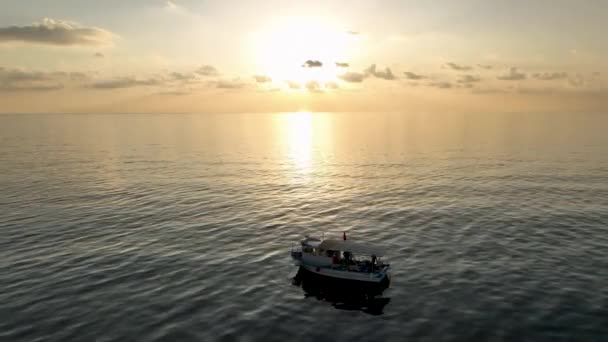 Denizde Büyük Bir Alan Deniz Ürünlerini Merkez Pazara Götürüyor — Stok video