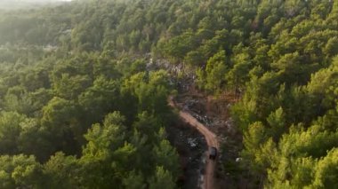 İki şeritli eski bir orman yolunda uçarken bir araba hareket ediyor, sık ormanın yeşil ağaçları her iki tarafta yetişiyor..
