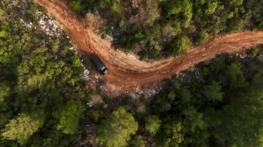 Hava takibi, güneşli bir günde ormanda yetişen yemyeşil ağaçların arasında gerçek zamanlı bir araba görüntüsü verdi.