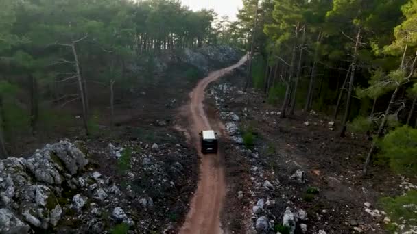 Von Dichten Wäldern Die Auf Beiden Seiten Wachsen Auto Fährt — Stockvideo