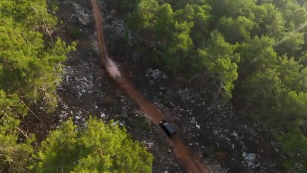 Przejeżdżający Samochód Latanie Obok Czarnego Samochodu Jadącego Przez Zieloną Przyrodę — Wideo stockowe