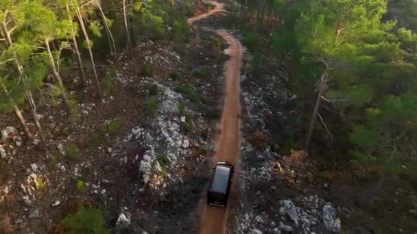Aerial Top Drone Shot Winding Mountain Road Trees — Vídeo de stock