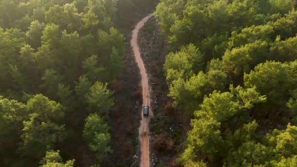 Lentää Takana Vieressä Musta Auto Ajaa Läpi Vihreä Luonto — kuvapankkivideo