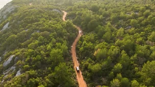 Sonbahar Doğasında Renk Değiştiren Bir Ormanı Keşfeden Bir Insansız Hava — Stok video