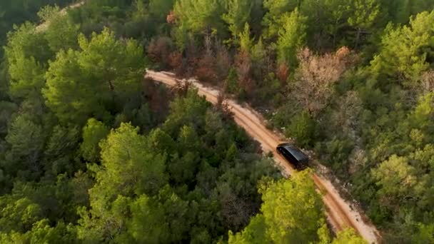 Aerial Tracking Shot Real Time Car Riding Lush Green Trees — Stock Video