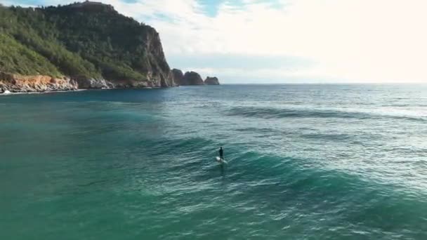 Luftaufnahme Mann Paddelt Auf Einem Stand Board Auf Türkisfarbenem Wasser — Stockvideo