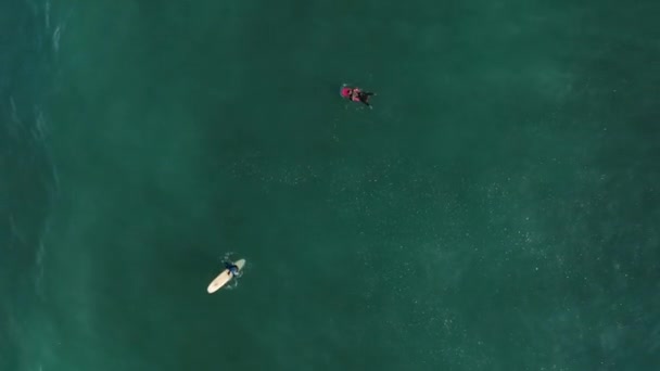 여름에 해변의 꼭대기에서 하늘을 내려다볼 수있는 공중에서 해변에서는 성찬식을 파도에서는 — 비디오