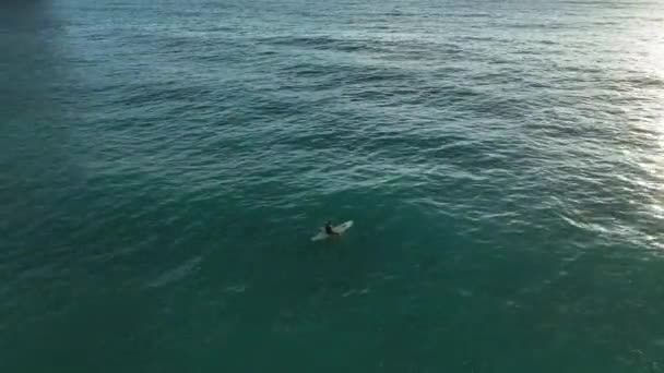 Surfistas Desconocidos Que Yacen Sus Tablas Surf Agua Esperando Olas — Vídeos de Stock