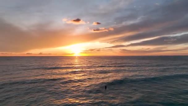 Vista Aérea Una Playa Verano Con Turistas Playa Male Surfer — Vídeo de stock