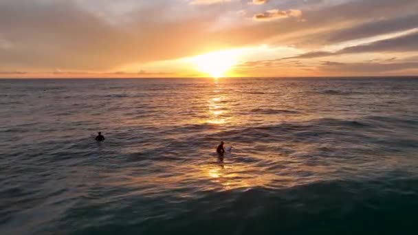 Nsanın Sörf Tahtasıyla Okyanusa Gidişinin Arka Görüntüsü Dalgıç Kıyafeti Giymiş — Stok video