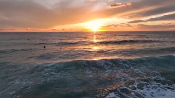 Havadan Görünüşlü Siluetli Yalnız Sörfçü Kürekçiler Okyanusta Alacakaranlıkta Dalganın Gelmesini — Stok video