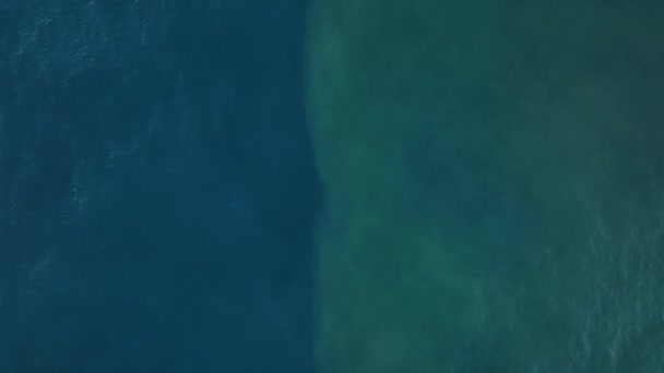 Θαλάσσιο Κύμα Όμορφο Τοπίο Ένα Κύμα Τρέχει Στην Αμμώδη Ακτή — Αρχείο Βίντεο