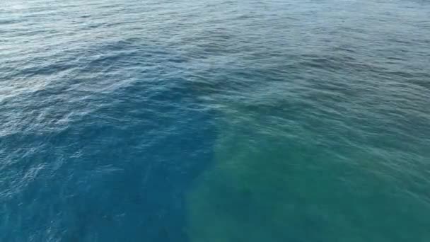 Luftbild Krachende Wellen Die Auf Felsen Der Küste Einem Dunklen — Stockvideo