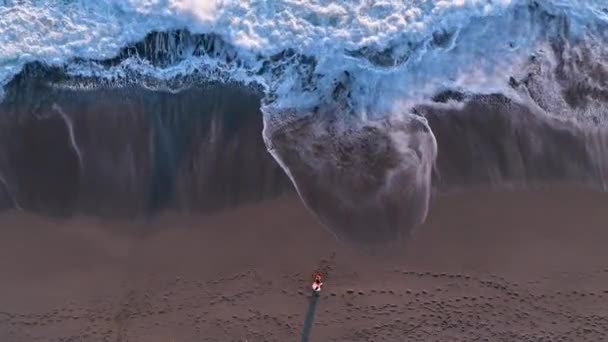 平稳的空中飞行滑翔机从右到左侧向飞行 拍下了野外蓝水梦海滩的无人驾驶照片 天堂无人机发射 — 图库视频影像