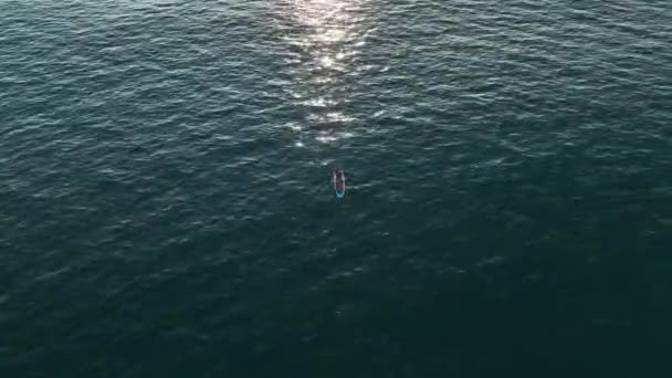 电影的空中无人驾驶镜头 年轻的冲浪运动员夫妇与长板冲浪桨在海洋冲浪列队 现代积极的生活方式 水上运动探险营 暑假的极端情况 — 图库视频影像