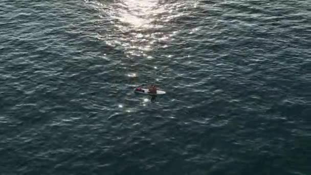 Coppia Surfisti Sdraiati Tavola Surf Nuotatori Uomo Donna Rilassanti Tavole — Video Stock