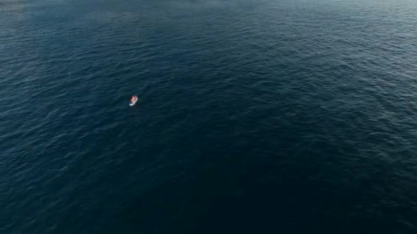 Zdjęcia Lotu Drona Sportowej Pary Surferów Długim Wiosłem Surfowania Oceanie — Wideo stockowe