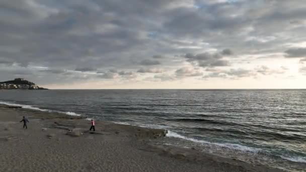 初夏の朝海岸沿いの砂浜を歩く犬 — ストック動画