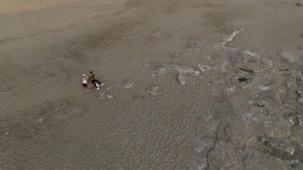 Baba Çocuk Plaj Doğasının Tadını Çıkarıyor Genç Bir Aile Deniz — Stok video