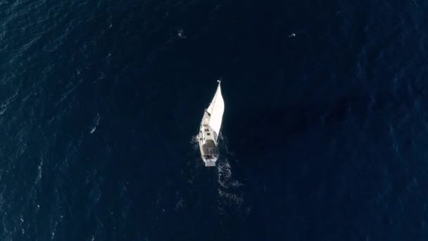 Aerial Regat Jachtowych Pod Żaglami Odbicie Żaglówki Otwartym Morzu Wyścigi — Wideo stockowe