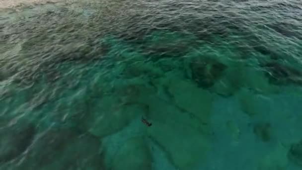 在蔚蓝的大海质感和平静而透明的海浪的背景下 在海里潜水 — 图库视频影像