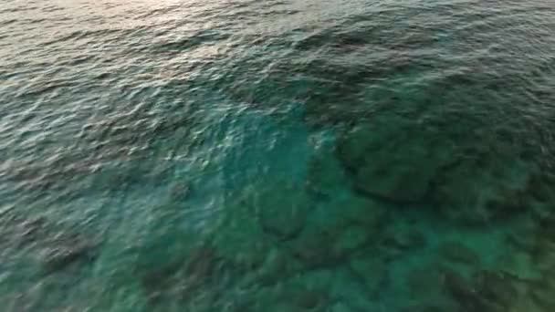 在鸟类迁徙季节 一只鸭子在地中海的水下游泳 持续寒冷的风暴天气 海水的垂直拍摄和4K格式的美丽野生动物 — 图库视频影像