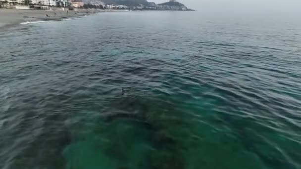海の中のアヒルが泳いで水を飲みます 海と水中の岩を背景にしたアヒルの美しい写真 — ストック動画