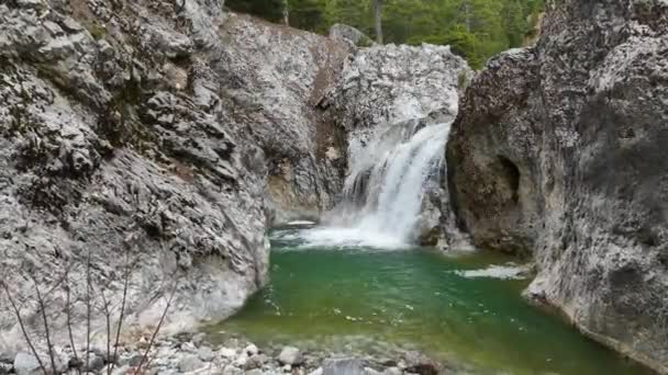 Небольшой Водопад Зимнем Лесу Река Быстрый Влажный Камень Быстрый Ручей — стоковое видео