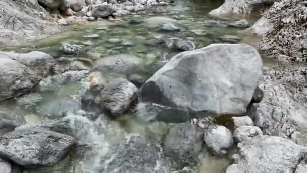 Река Быстро Течет Зимой Зеленом Лесу Маленький Водопад Кристально Чистой — стоковое видео