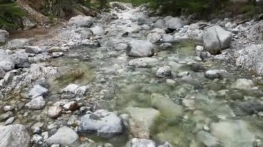 Kışın yeşil ormanda akarsu hızlı akıyor. Kristal berrak suyu olan küçük bir şelale. Yosun kaplı taşlar ve kütükler.