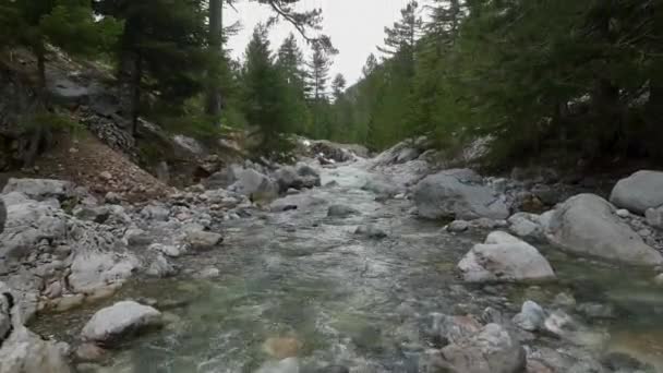 Pequeñas Aguas Arroyo Que Fluyen Ladera Rocosa Pedregosa Nevada Invierno — Vídeo de stock