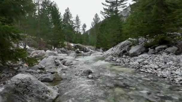 Водопад Зеленый Речной Воды Скалы Ландшафтный Лес Природы Маленький Водопад — стоковое видео