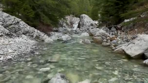Удивительная Великолепная Быстрая Каменистая Горная Дикая Река Протекает Густом Зеленом — стоковое видео