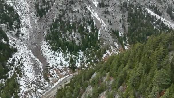 Αεροφωτογραφία Θέα Στο Δάσος Στη Μέση Χιονισμένων Δέντρων Και Χιονισμένου — Αρχείο Βίντεο