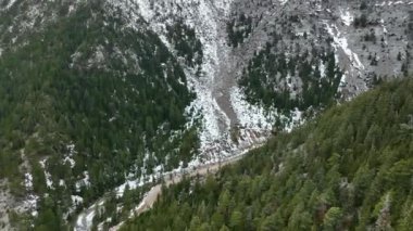 Bir ormana bakan hava manzarası, karla kaplı ağaçların ve karlı ormanın ortasında, karanlık, bulutlu, kış gününde.