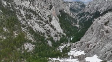 Otantik bir dağ ormanı, bulutlu bir kış gününde üzerinde uçan bir drondan alındı. Doğu dağlarının merkezinde yer almaktadır..