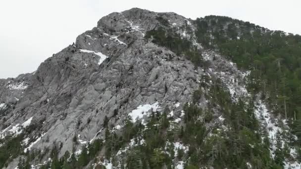 Справжній Гірський Ліс Взятий Дрона Літає Над Ним Похмурий Зимовий — стокове відео