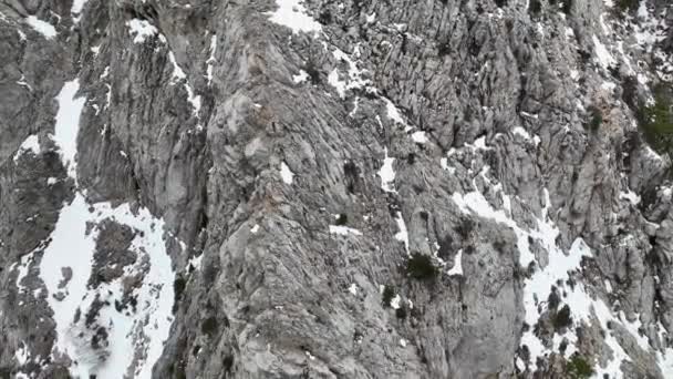 电影空中拍摄了无尽的山林风景 在多云的灰蒙蒙的高山森林中飞翔 — 图库视频影像