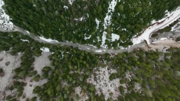 Přirozená Řeka Malý Rychlý Potok Zimním Lese Zamračeného Dne Dron — Stock video